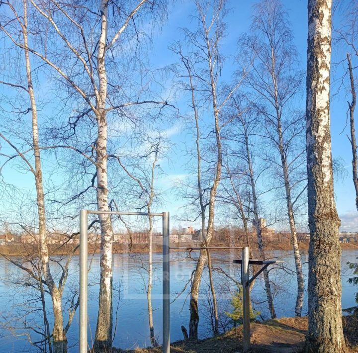 земля р-н Всеволожский снт Пороги ул 1-я Лесная Свердловское городское поселение, Ломоносовская фото 9