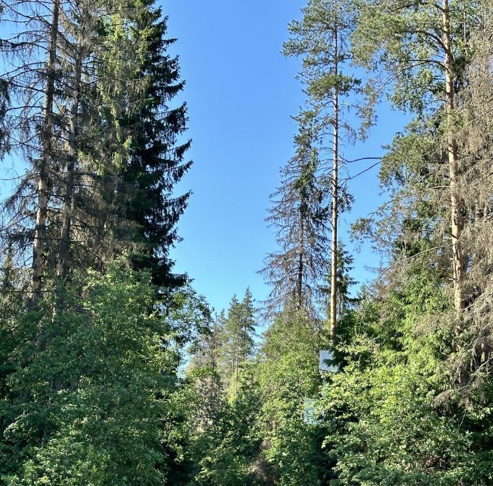 дом р-н Выборгский Рощинское городское поселение, Карелия-1 СНТ фото 25