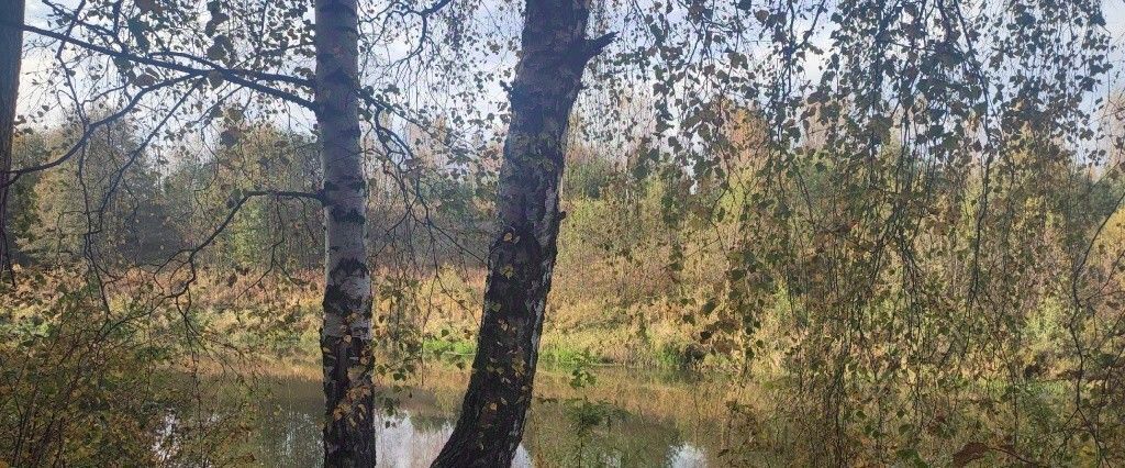 земля р-н Гаврилов-Ямский г Гаврилов-Ям ул Рабочая 75 фото 2