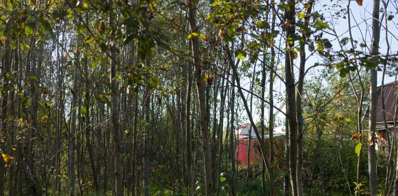 земля городской округ Клин д Колосово снт Колос 206 фото 7