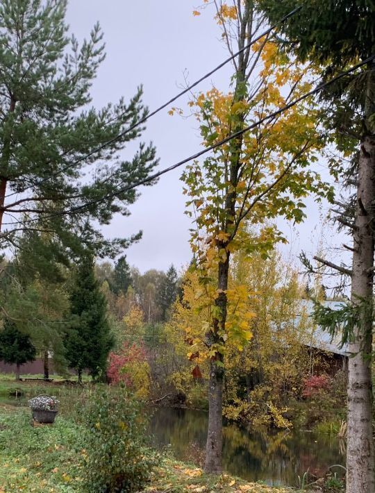 дом городской округ Истра д Зеленково снт Дубрава Нахабино, 1 фото 7