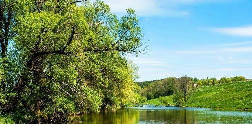 земля городской округ Ступино д Шелково фото 14