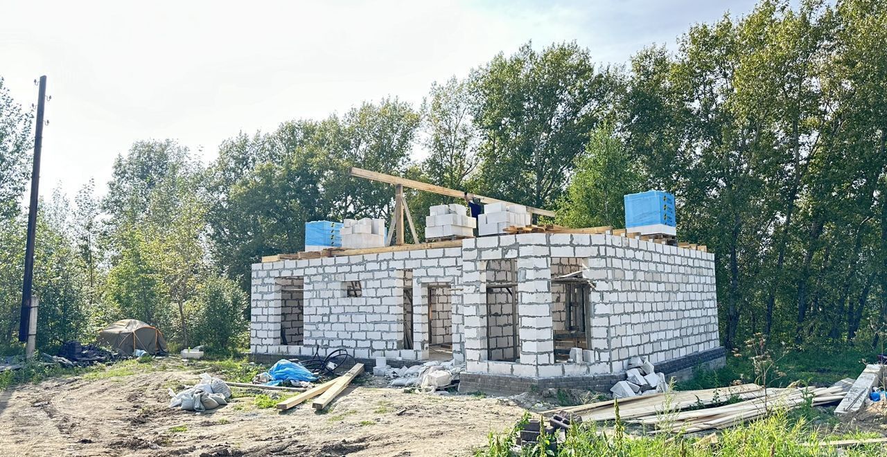 дом г Барнаул с Лебяжье п Бельмесево ул Весенняя р-н Центральный фото 16