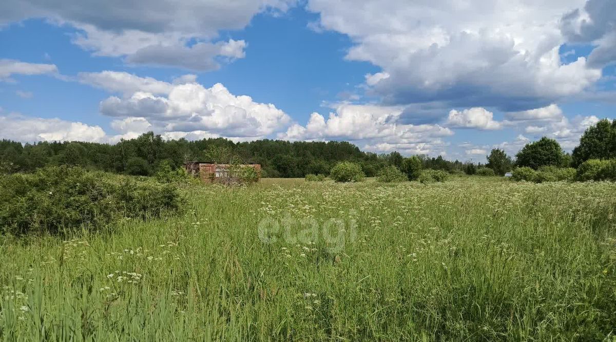 земля р-н Киришский с Посадников Остров Кусинское с/пос, 42 фото 11