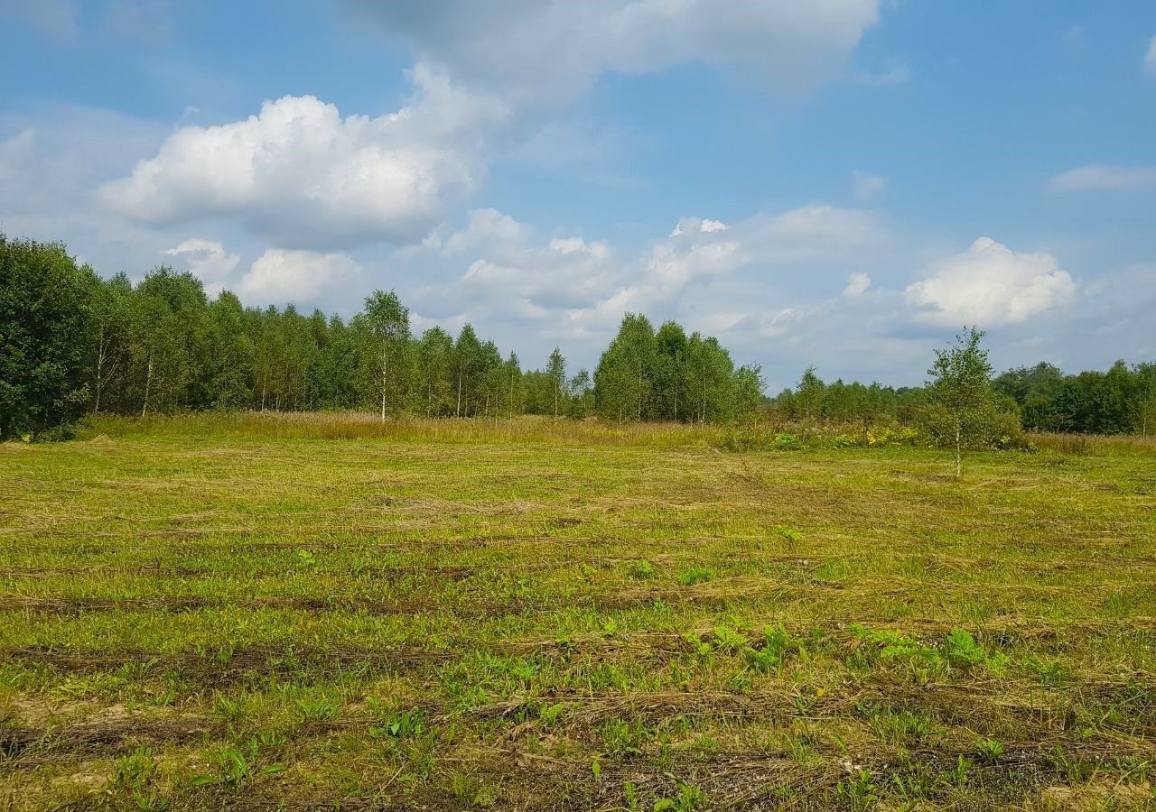 земля городской округ Наро-Фоминский д Любаново 9781 км, Наро-Фоминск, Минское шоссе фото 26