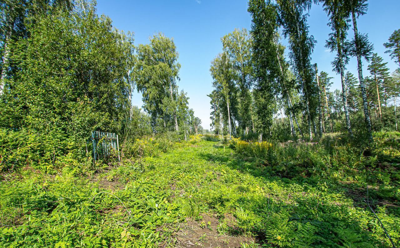 земля р-н Новосибирский снт Вера Барышевский сельсовет, Новосибирск фото 8