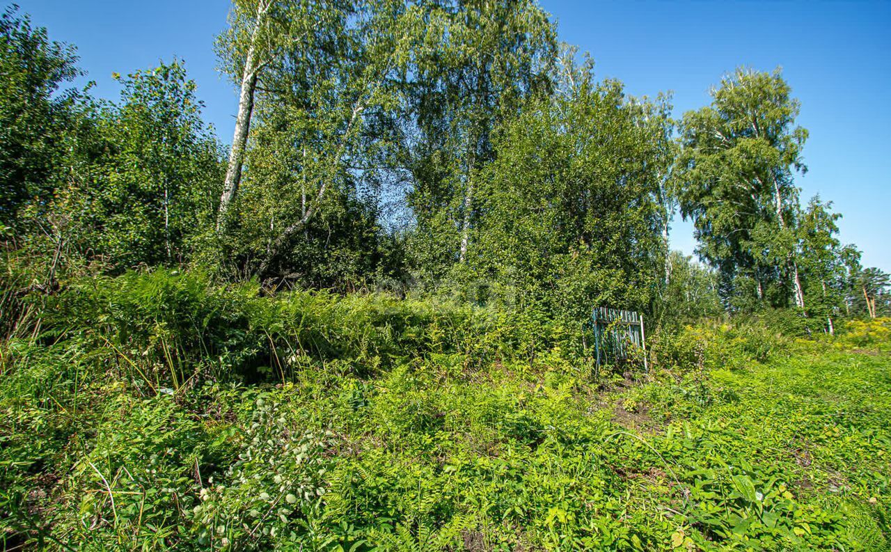 земля р-н Новосибирский снт Вера Барышевский сельсовет, Новосибирск фото 9