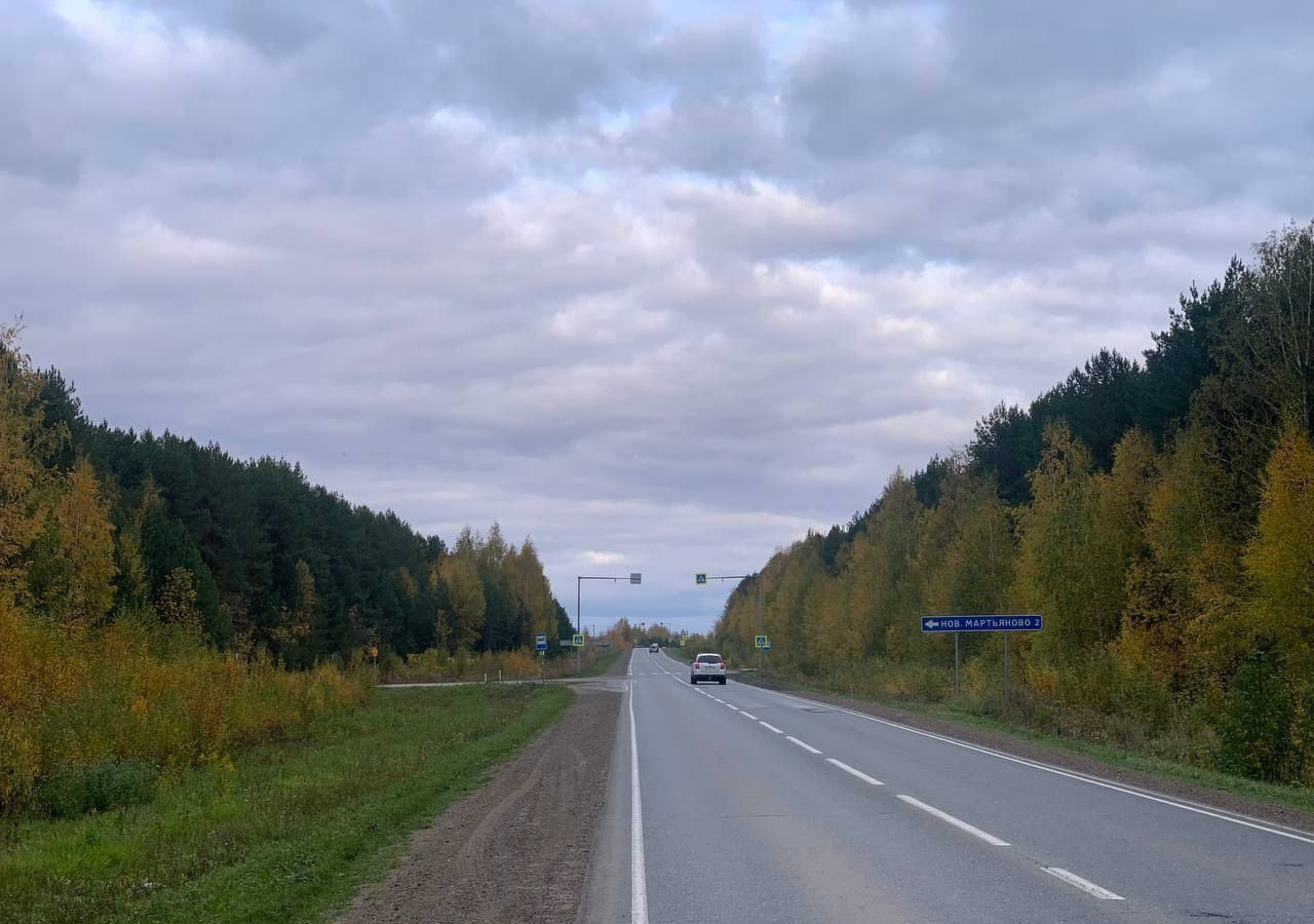 земля р-н Завьяловский д Новое Мартьяново ул Дачная 3 Завьялово фото 1