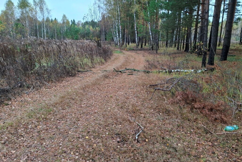 земля р-н Киржачский д Старово муниципальное образование Першинское фото 3