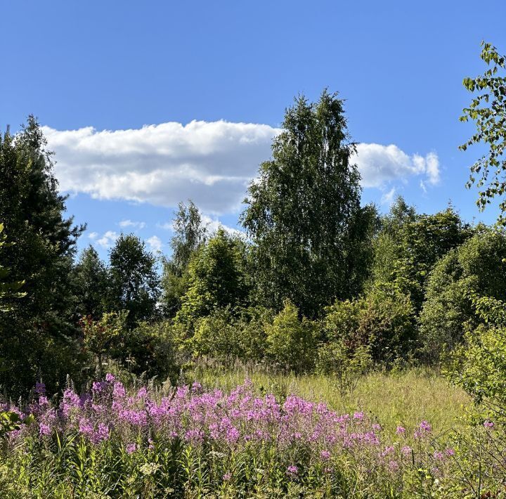 земля городской округ Серпухов д Волохово снт Калитино-1 17 фото 11