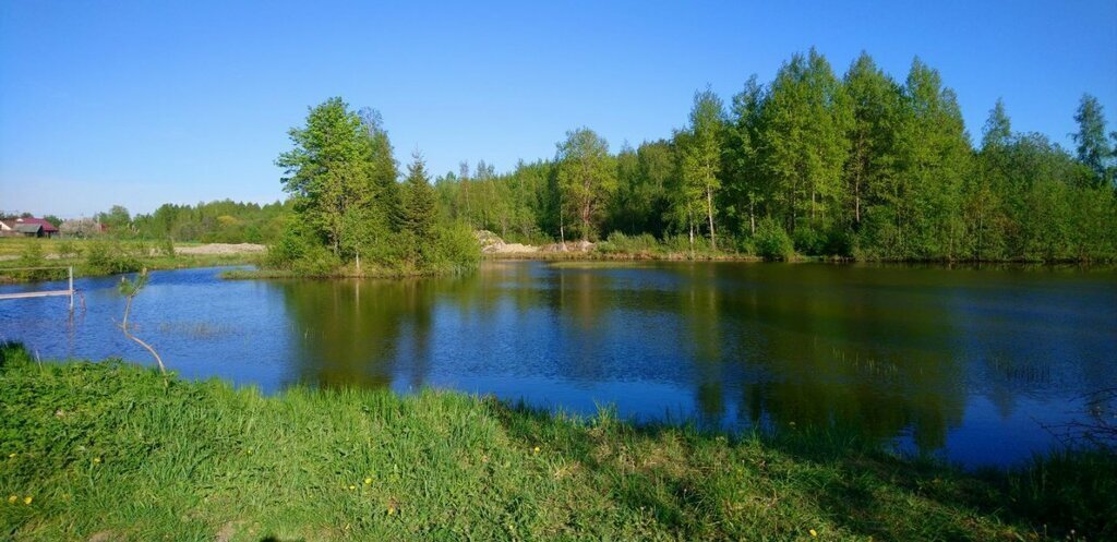 земля р-н Волосовский д Греблово Клопицкое сельское поселение фото 3