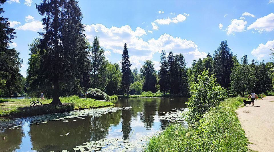 квартира г Санкт-Петербург п Парголово ул Заречная 13к/2 метро Парнас фото 33