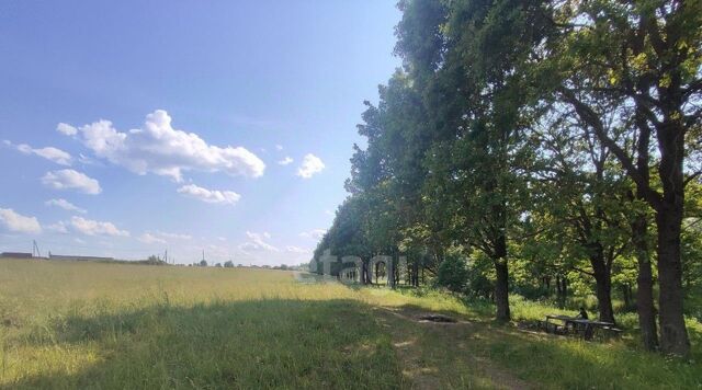 ул Тенишевой фото