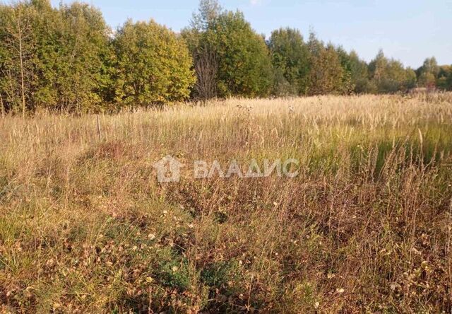 снт Родник муниципальное образование Селецкое, Суздаль фото