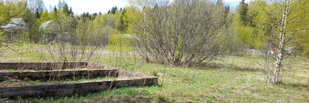 земля городской округ Шаховская д Городково снт Травушка фото 3