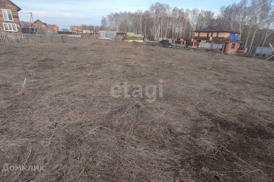 земля р-н Новосибирский село Толмачёво фото 3