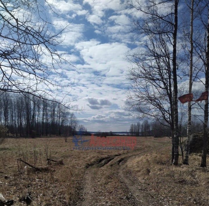 земля р-н Выборгский п Возрождение Каменногорское городское поселение, Парнас фото 5