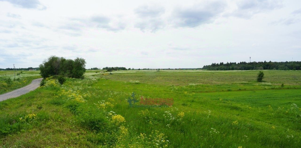 земля р-н Ломоносовский д Заостровье Лопухинское с/пос, Беговая фото 6