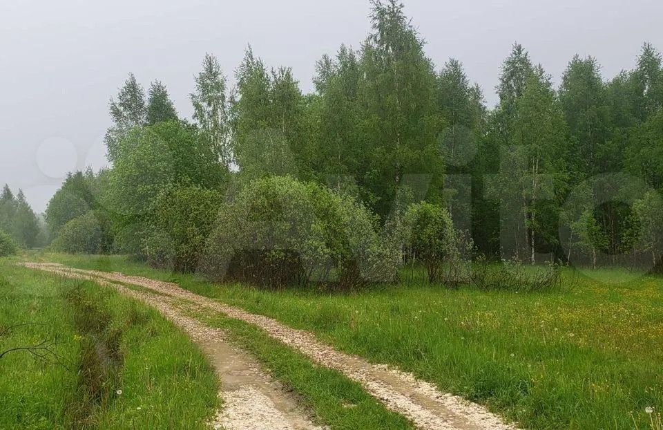 земля городской округ Шаховская деревня Высоково фото 4