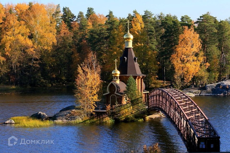 земля р-н Приозерский Васильево фото 3