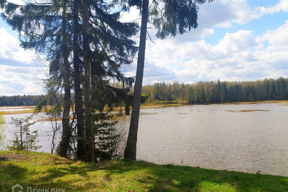 земля городской округ Солнечногорск территориальное управление Кривцовское фото 6