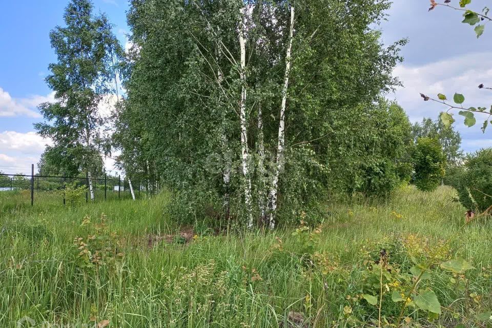 земля городской округ Раменский Торопово фото 4