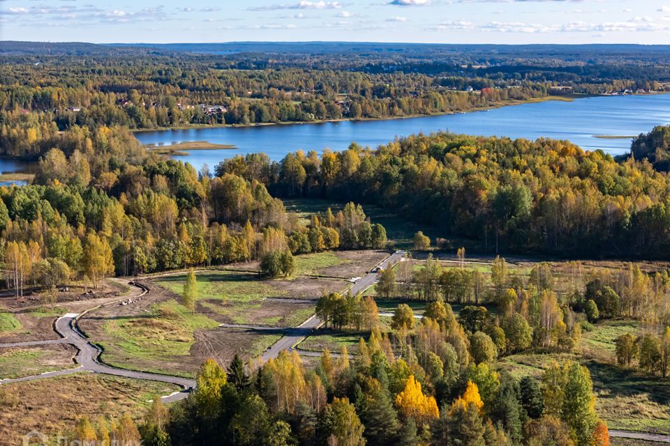 земля р-н Приозерский фото 2