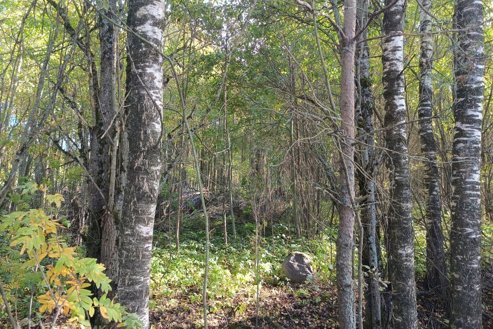 земля р-н Приозерский д Светлое ул Главная 2 фото 7