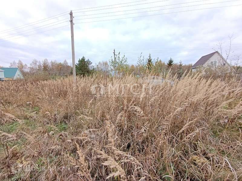 земля городской округ Орехово-Зуевский п Беливо 6 фото 8