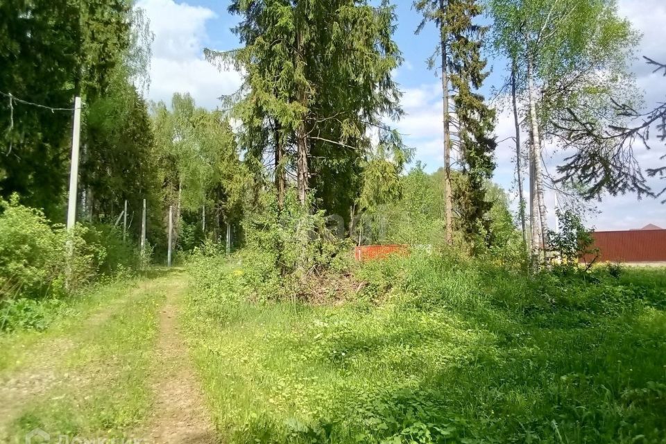 земля городской округ Дмитровский фото 6