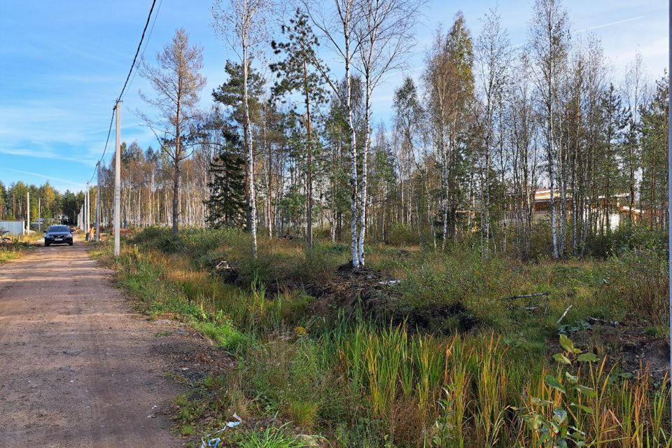 земля р-н Всеволожский СОСН Раздолье фото 4