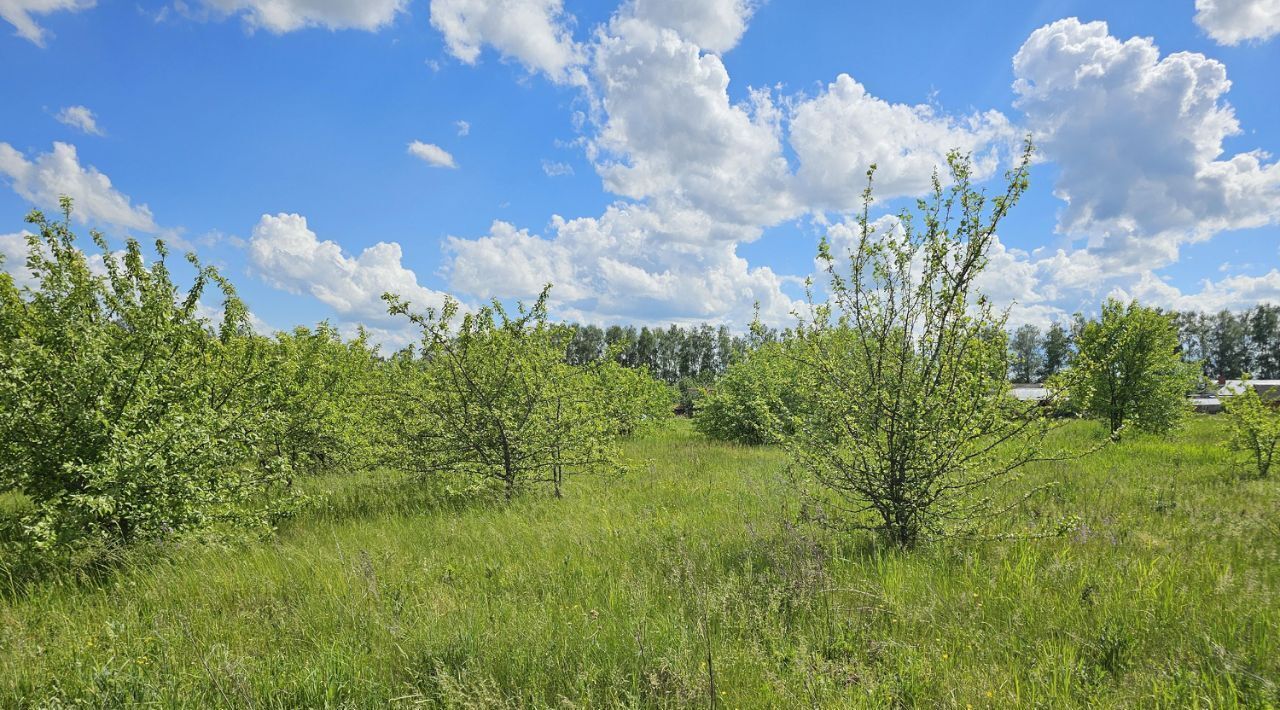 офис городской округ Луховицы с Григорьевское ул Новая фото 4