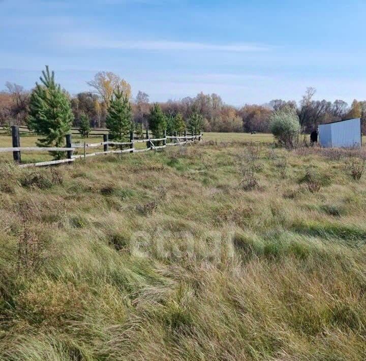 земля р-н Первомайский с Санниково ул Луговая фото 5