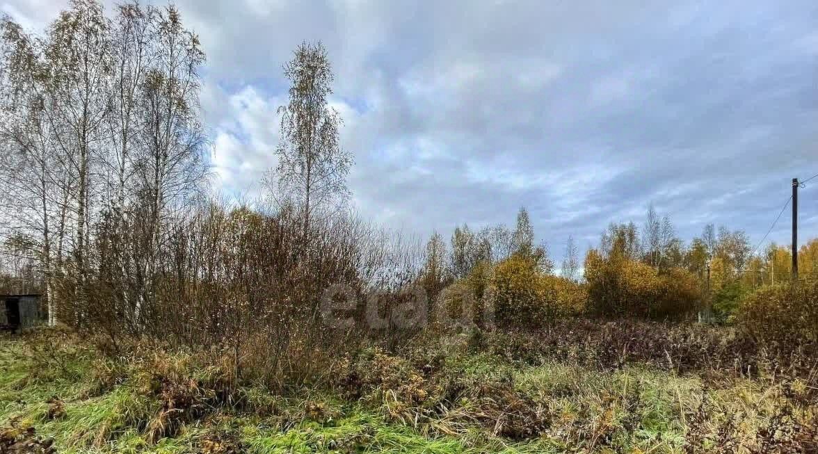 земля р-н Киришский массив Кусино снт Швейник Кусинское с/пос, садоводческое товарищество фото 2