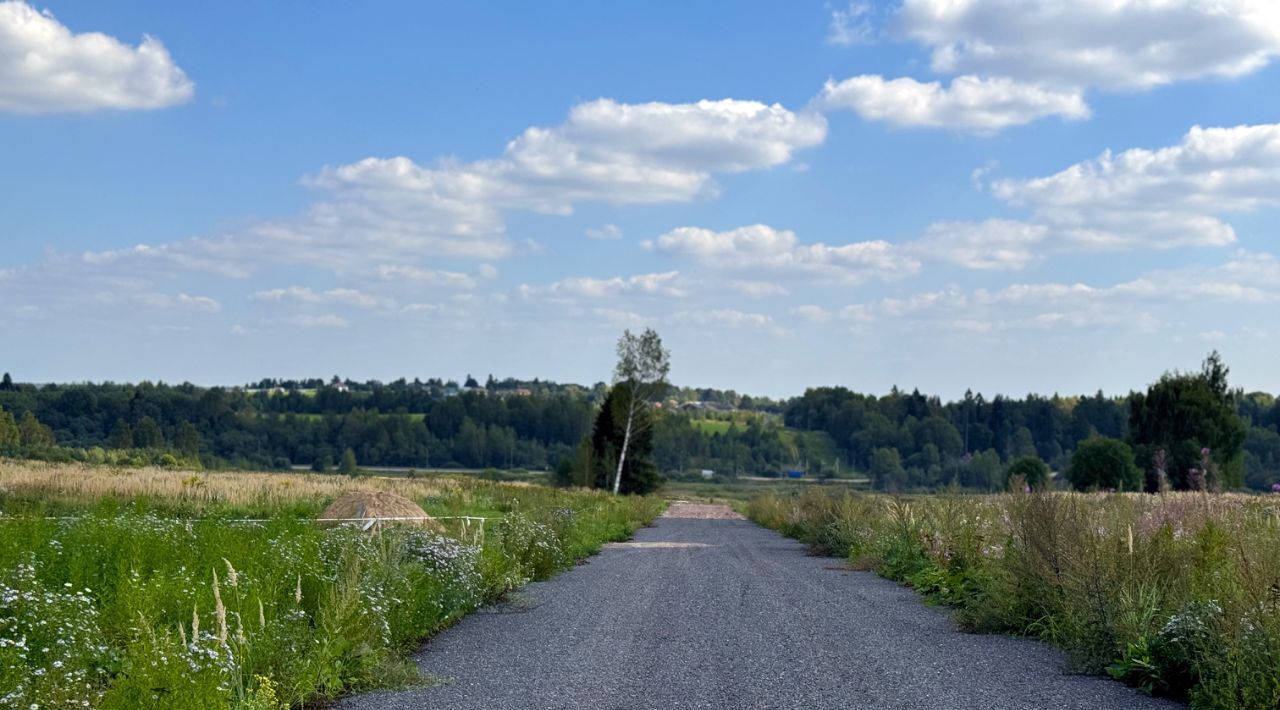 земля 85, Дмитровский городской округ, Медведки кп фото 7