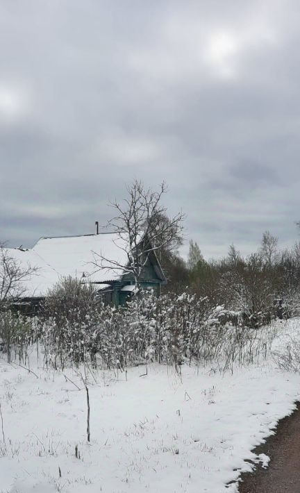 дом р-н Псковский д Шевелево Карамышевская волость фото 6