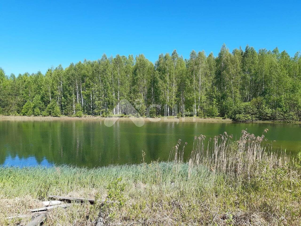 земля г Саров городской округ Саров, Темниковский р-н фото 3