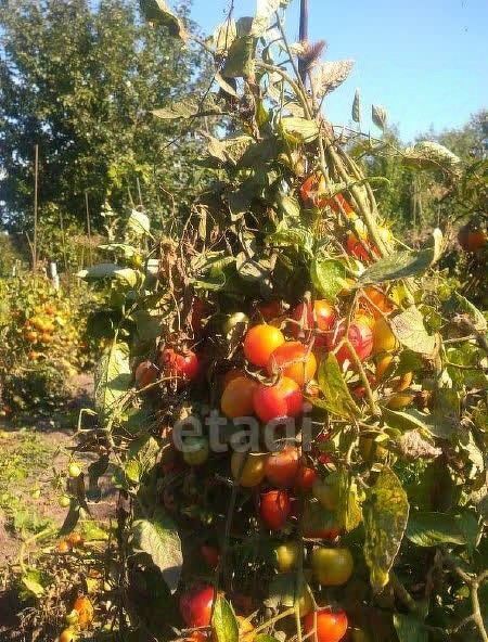 земля г Ульяновск р-н Заволжский снт Волна фото 8