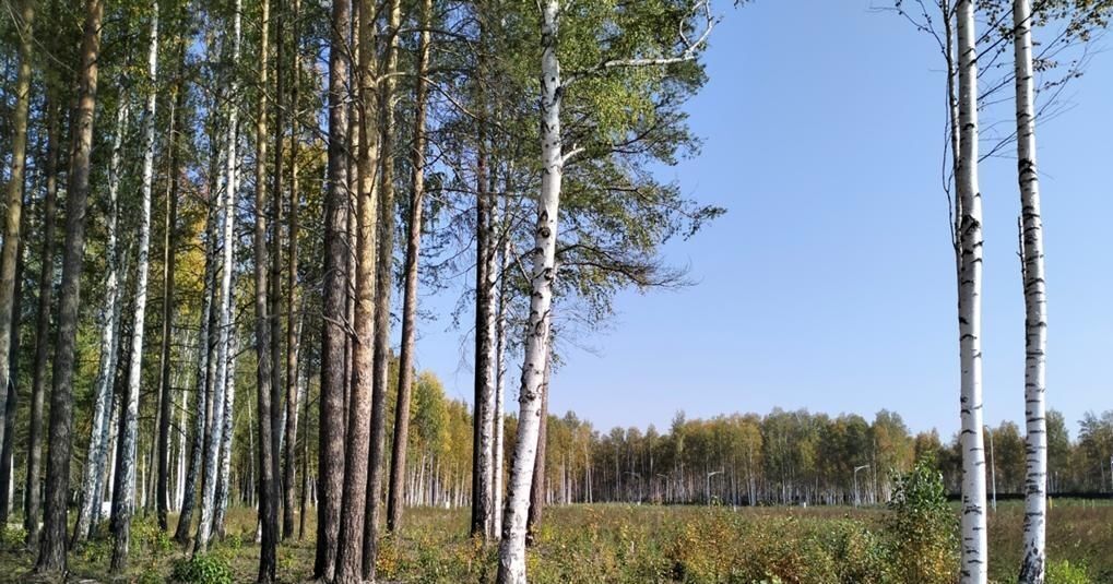 земля р-н Сысертский п Габиевский фото 1