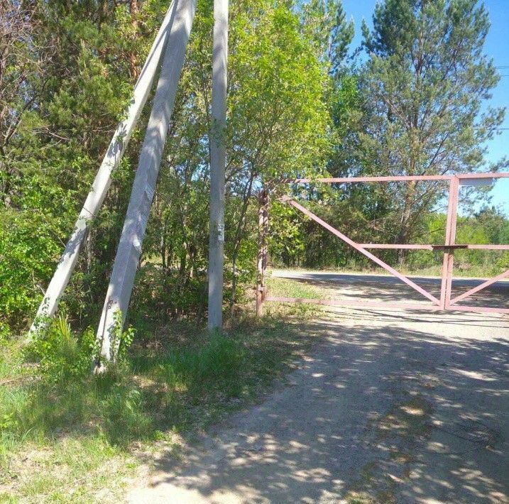 земля г Заречный снт Автомобилист 26 фото 2