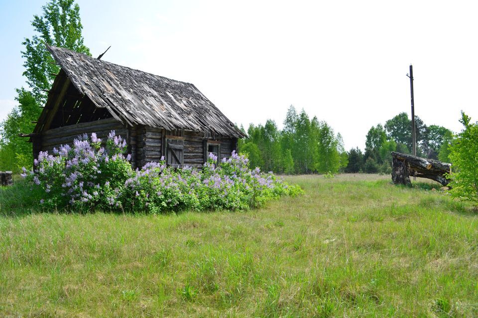 земля р-н Ершичский деревня Крестовая фото 3