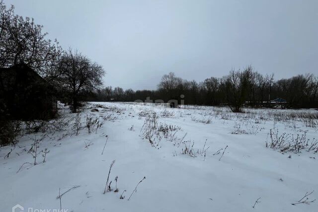 СНТ Залесье, Старооскольский городской округ фото