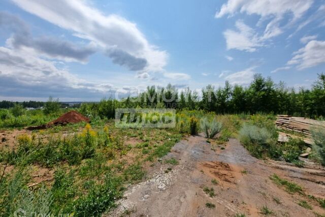 городской округ Ижевск, Новые Пазелы фото