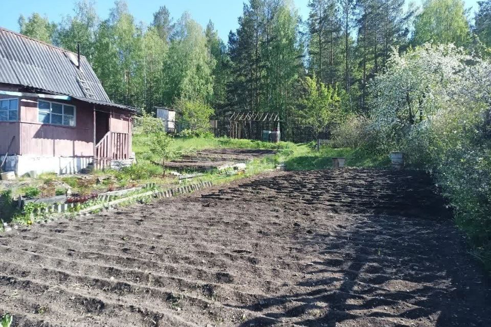 земля г Кыштым Кыштымский городской округ, снт Северный фото 4