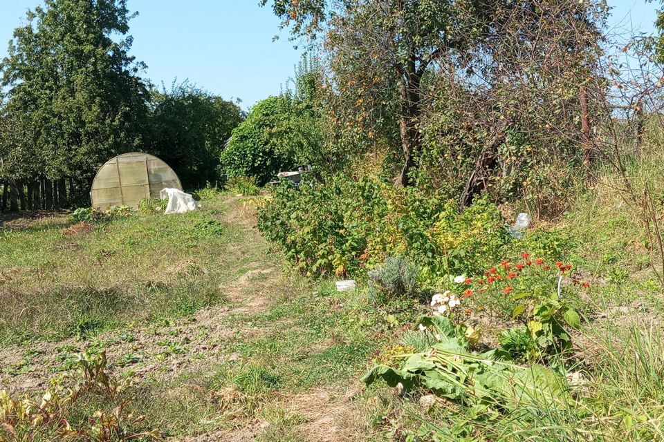 земля пгт Янтарный снт Садовник Янтарный городской округ фото 4