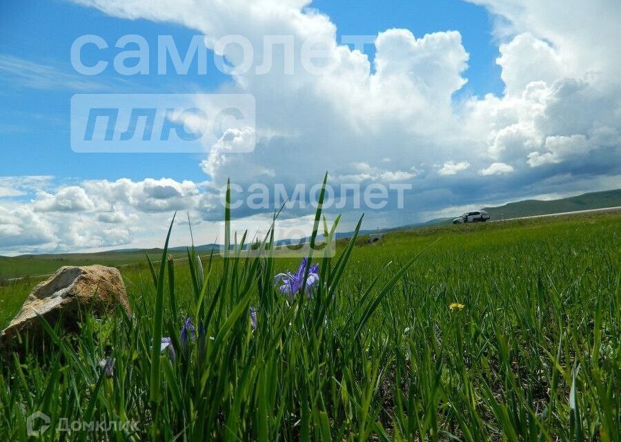 земля г Чита городской округ Чита, ДНТ Кенон фото 3