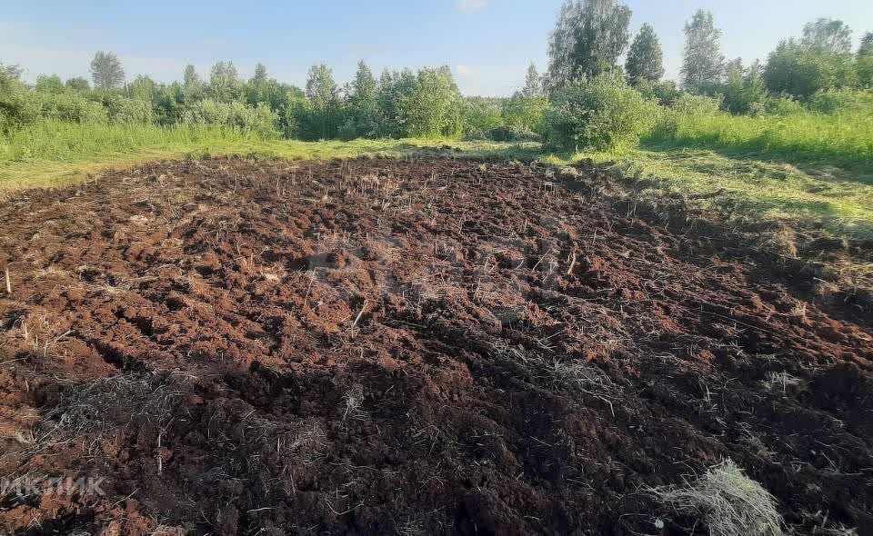 земля г Тюмень снт Царево ул Радужная городской округ Тюмень фото 3