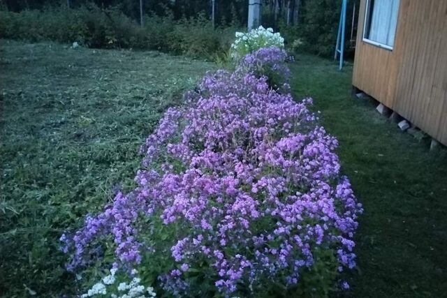 СТ Надежда, Краснокамский городской округ фото