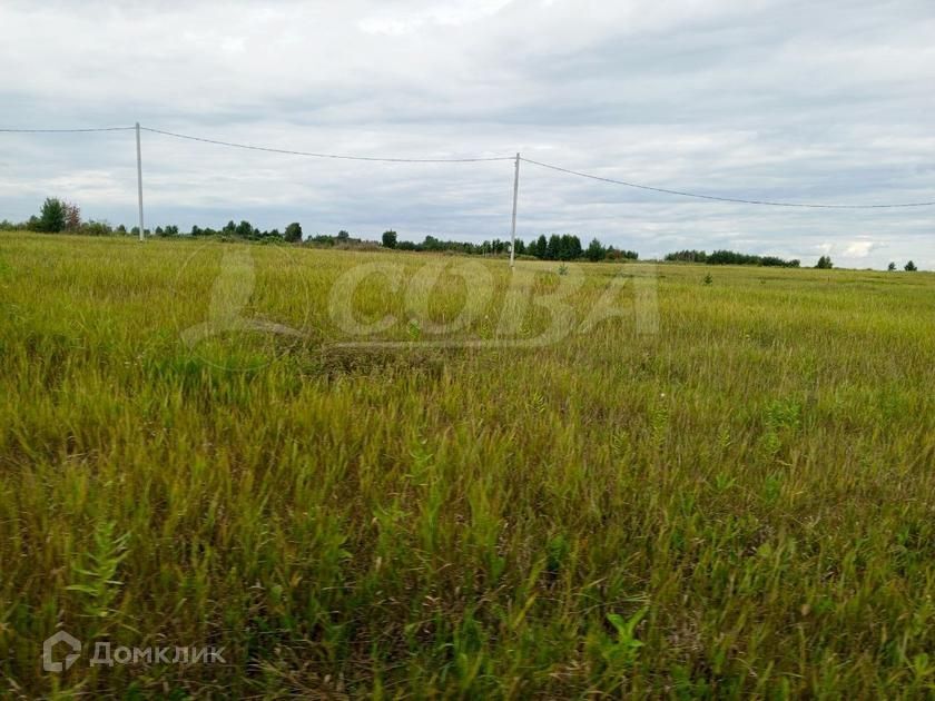 земля г Тюмень городской округ Тюмень, СО Яровское фото 2