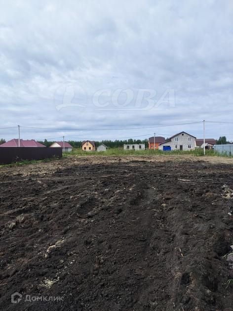 земля р-н Тюменский село Червишево фото 2